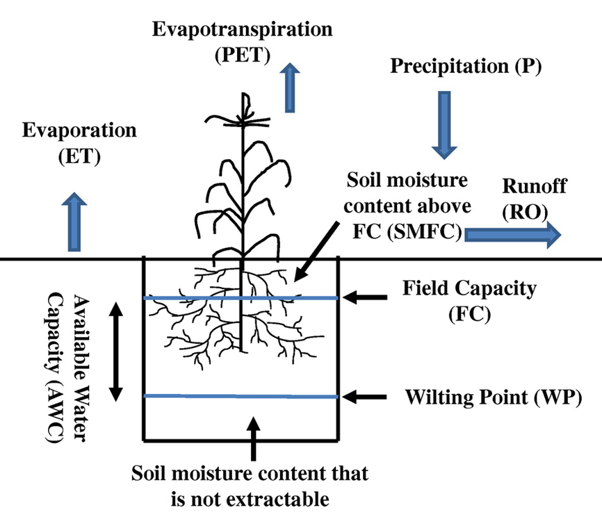 Soil water movement