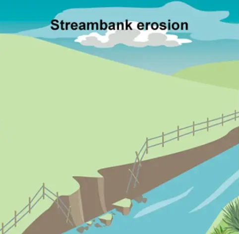 Steambank erosion